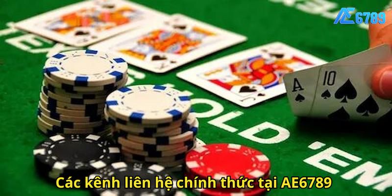 Các kênh liên hệ chính thức tại AE6789