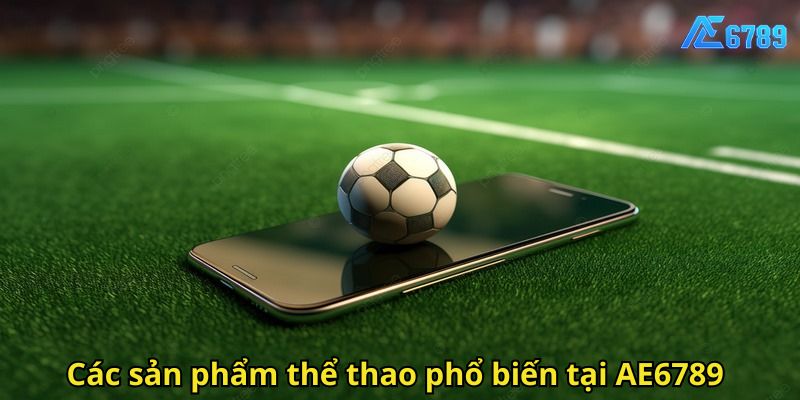 Các sản phẩm thể thao phổ biến tại AE6789